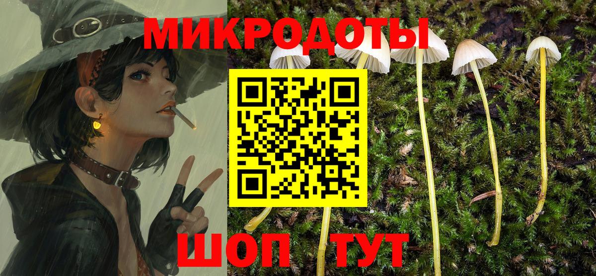 купить  сайты  Вход с VPN  Сокол  Псилоцибиновые грибы мицелий 