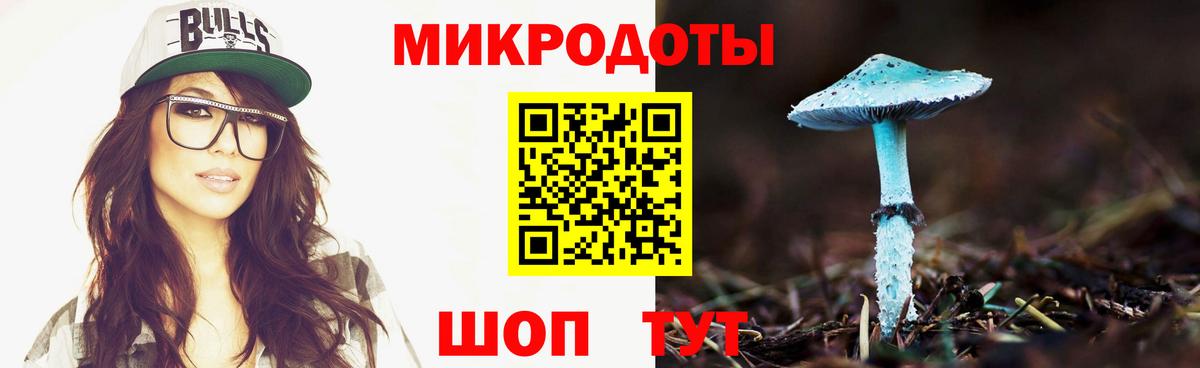 Псилоцибиновые грибы Cubensis Сокол